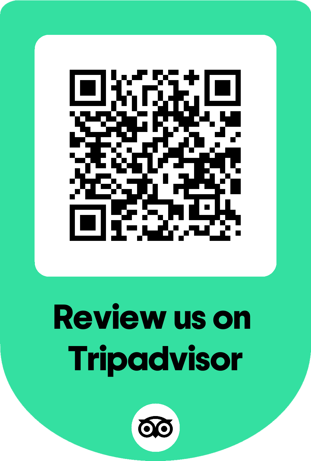 Write a TripAdvisor Review
